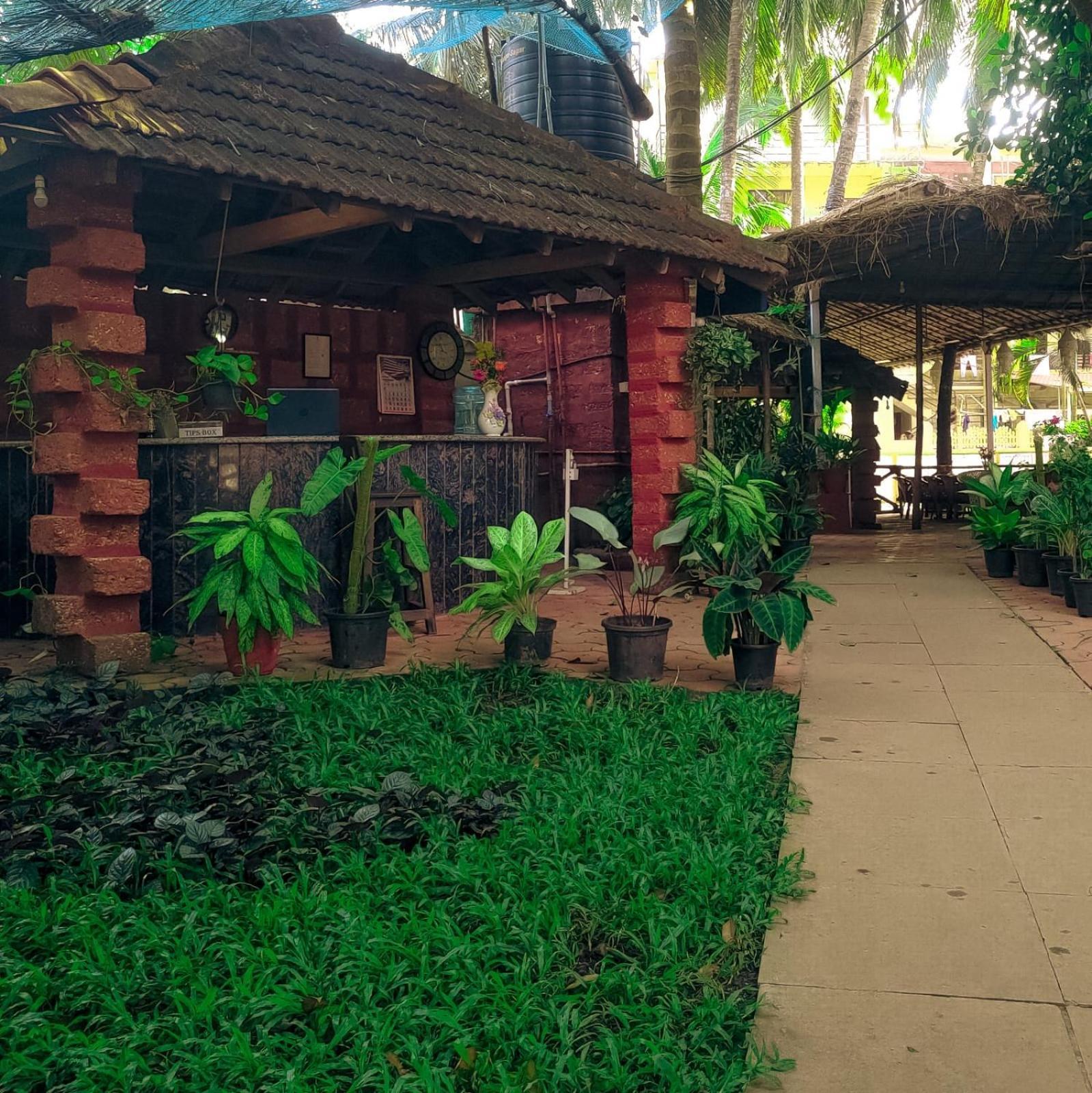 Mini Dunes Mandrem Ngoại thất bức ảnh